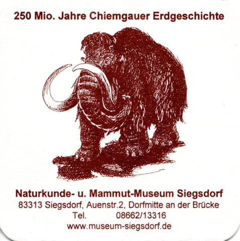 siegsdorf ts-by mammut 1a (quad185-250 mio jahre-oh fax-braun) 